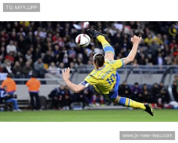 小罗：从巅峰到沉沦，足球精灵的陨落与反思，足球 小罗